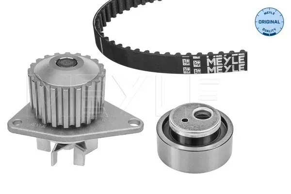 Kit de distribución 1689634480 Peugeot/Citroen