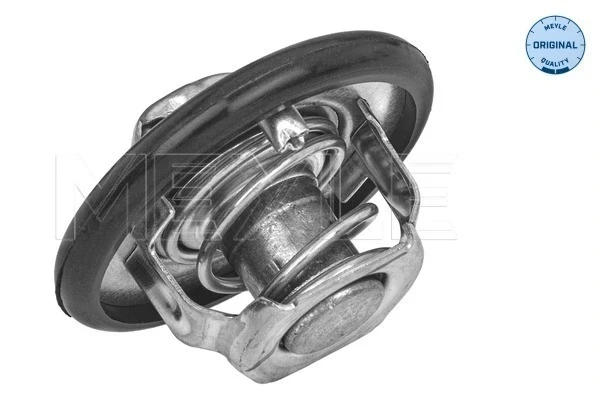 Termostato Citroen ZX (N2)