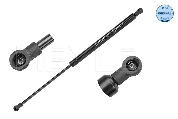 Amortiguador maletero Peugeot 307 3A, 3C