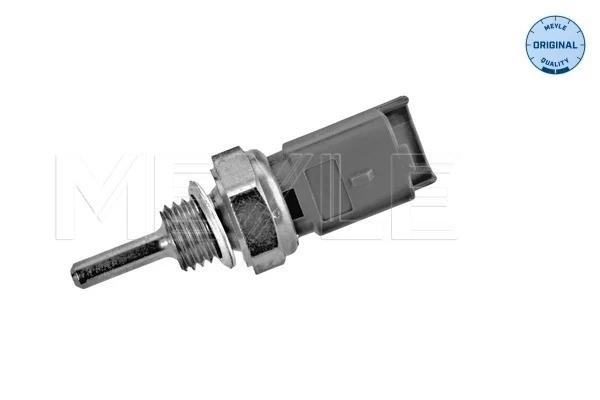 Sensor de temperatura del refrigerante Fiat Doblo 2 (263)