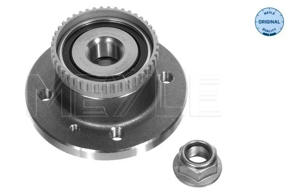 Cubo de rueda trasero Renault Megane SCENIC (JA0)