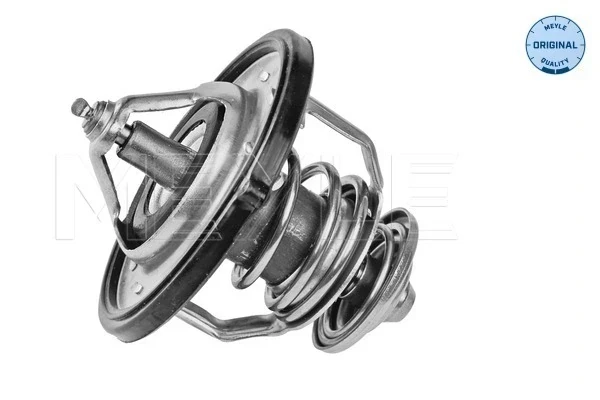 Termostato Hyundai Santa Fe 1 (SM)