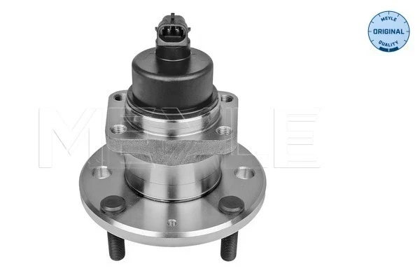 Cubo de rueda trasero Chevrolet Lacetti (J200)