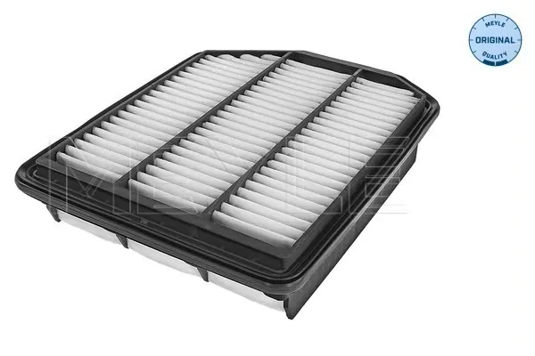Filtro de aire KIA Magentis II