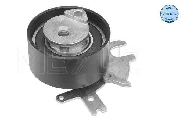 Tensor correa distribución Ford Kuga I