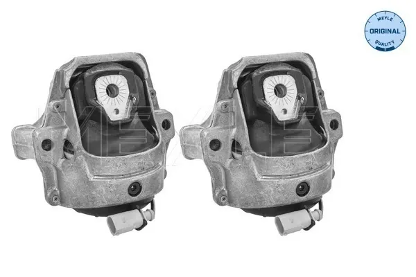 Soporte izquierdo del motor 1001991404S Meyle