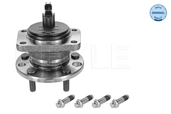 Cubo de rueda trasero Ford Mondeo 3 (BWY)