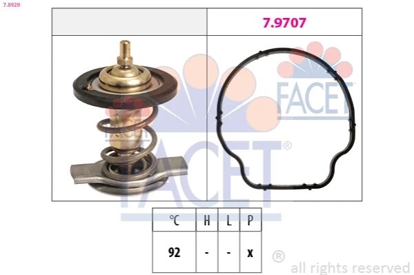 78929 Facet