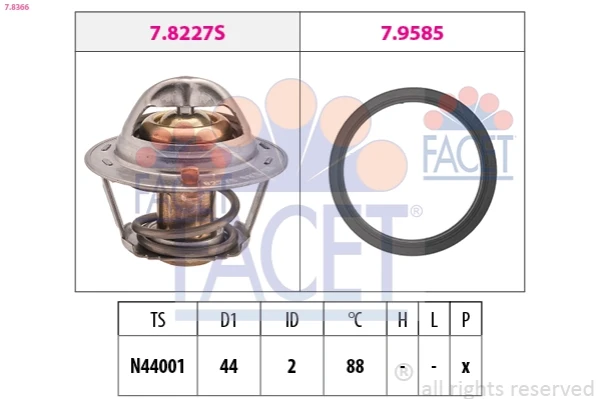 78366 Facet
