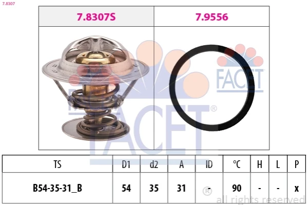 78307 Facet