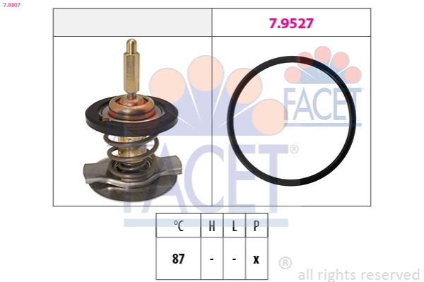 78807 Facet