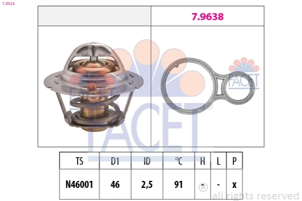78524 Facet