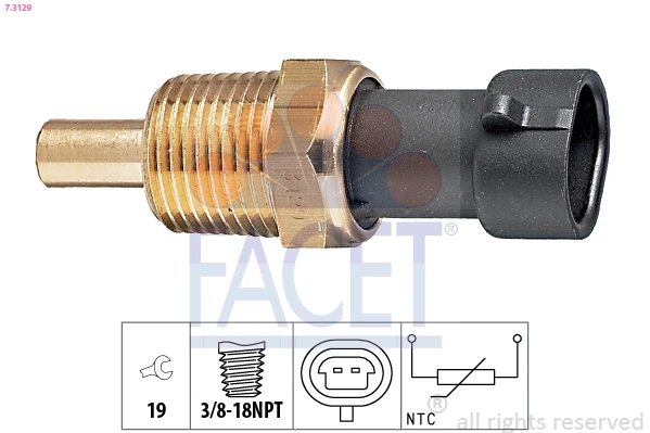 73129 Facet