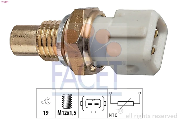 73191 Facet