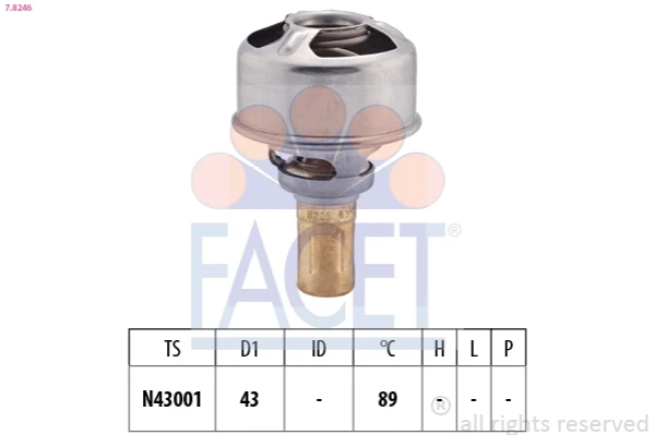 78246 Facet