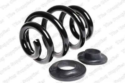 Muelle trasero LESJOFORS 4295050