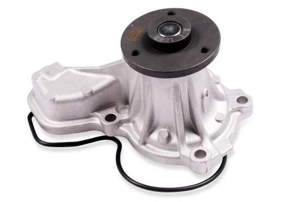 P7842 Hepu