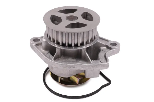 Bomba de agua P557 Hepu