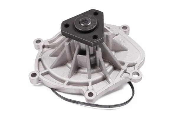 Bomba de agua P691 Hepu