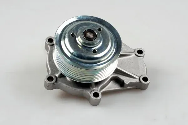 Bomba de agua P7580 Hepu