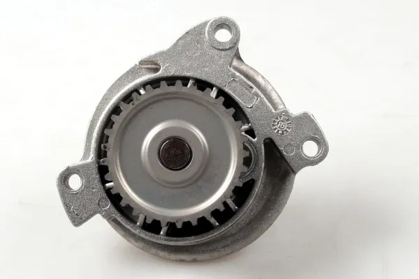 Bomba de agua P535 Hepu