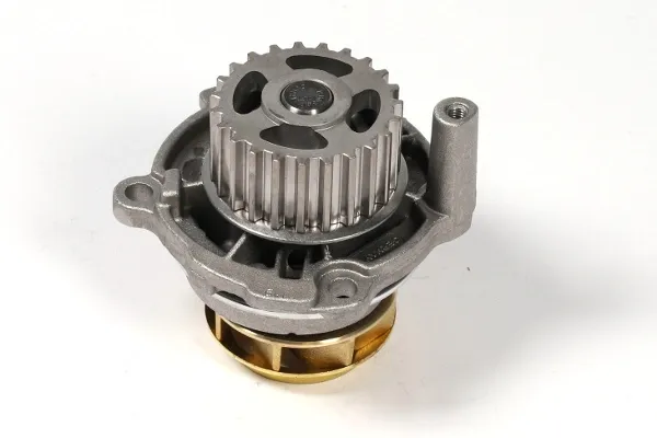 Bomba de agua P545 Hepu