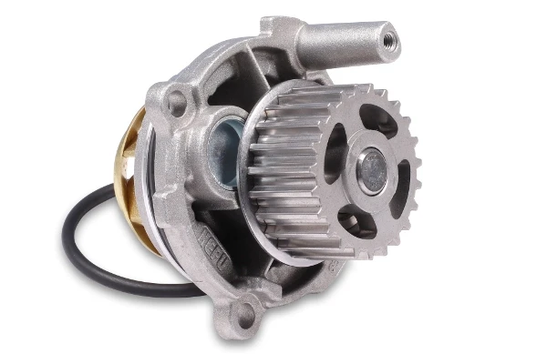 P572 Hepu