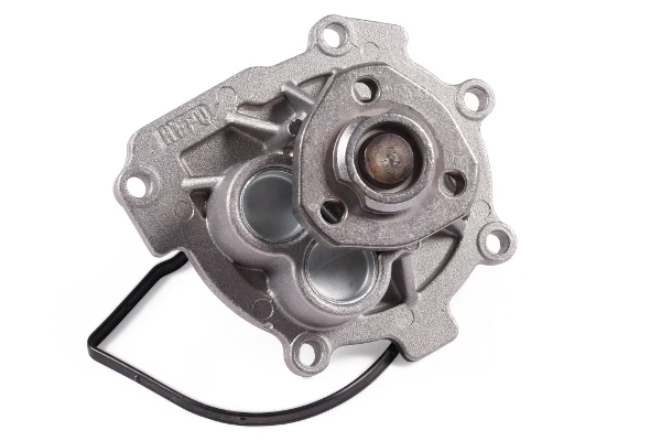 P363 Hepu