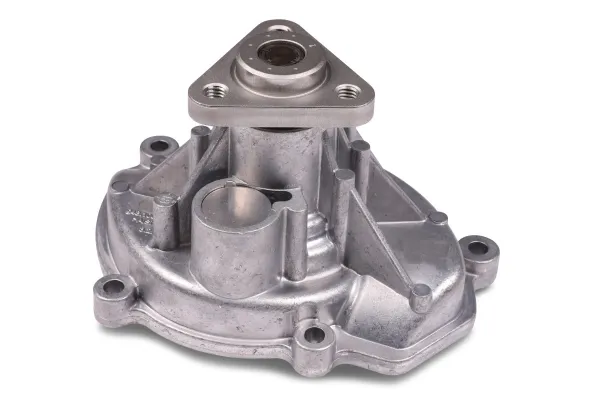 Bomba de agua P690 Hepu