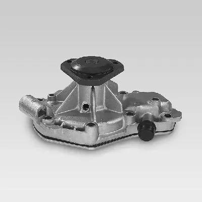 Bomba de agua P840 Hepu