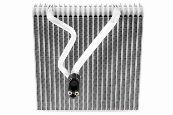 V10650007 Vemo