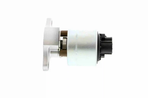 V22630009 Vemo