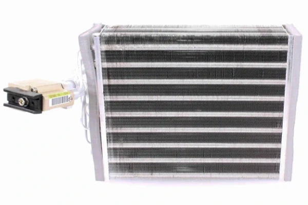 V10650014 Vemo