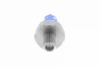V26720012 Vemo