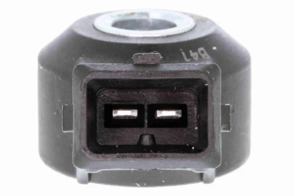 V22720003 Vemo