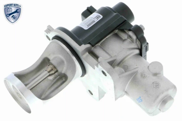 V10630004 Vemo