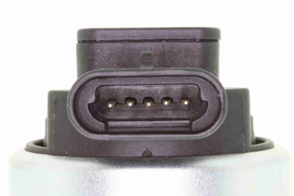 V22630009 Vemo