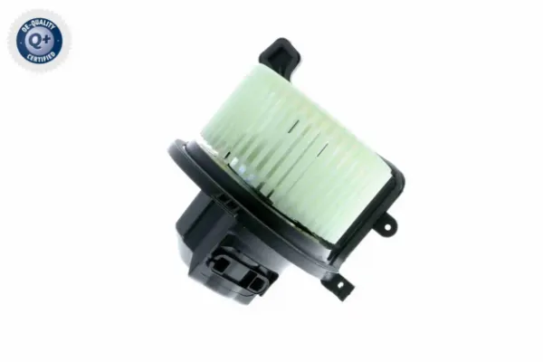 V46031376 Vemo