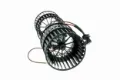 V25031619 Vemo