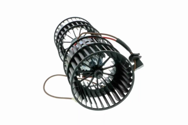 V25031619 Vemo