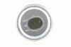 V26720167 Vemo