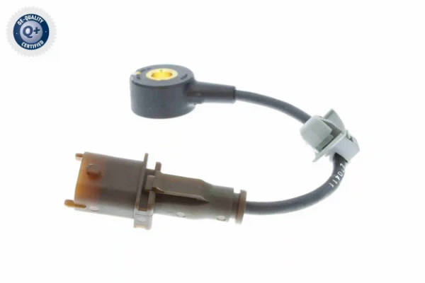 V40720585 Vemo