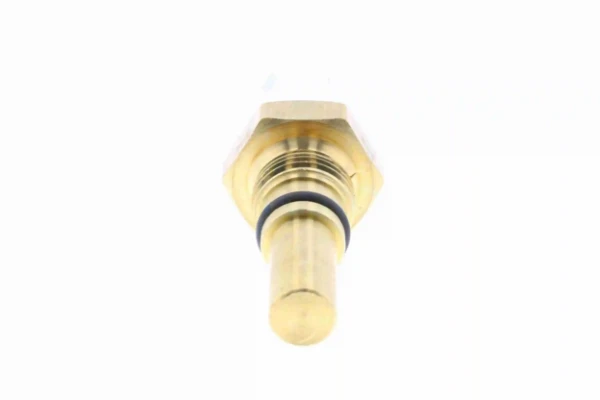 V70990028 Vemo
