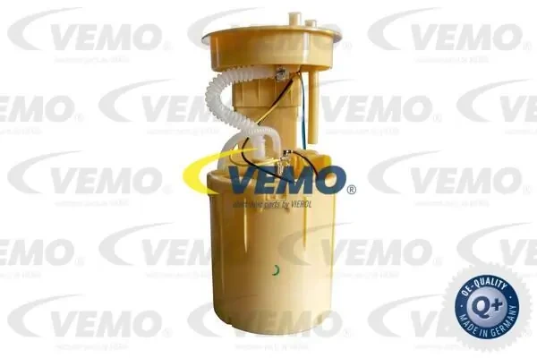 V10090818 Vemo