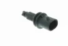 V40720325 Vemo