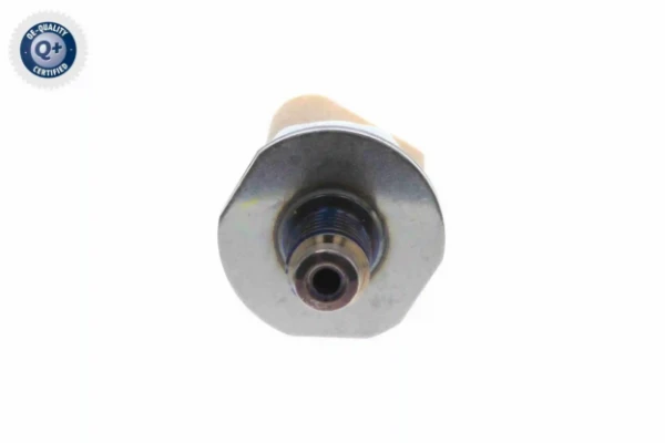 V10720024 Vemo