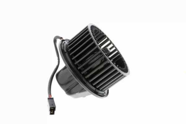 V15031880 Vemo