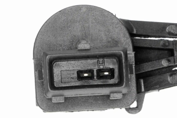 V107209291 Vemo