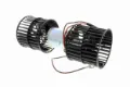 V25031619 Vemo