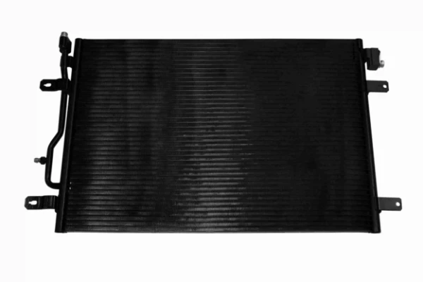 V15621010 Vemo